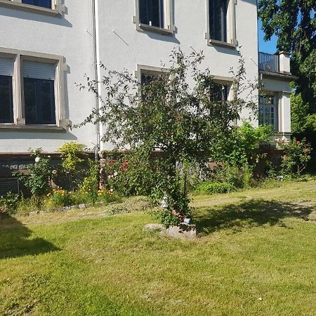 Atelier Art Decho Lägenhet Munster  Exteriör bild