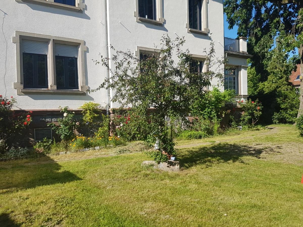 Atelier Art Decho Lägenhet Munster  Exteriör bild